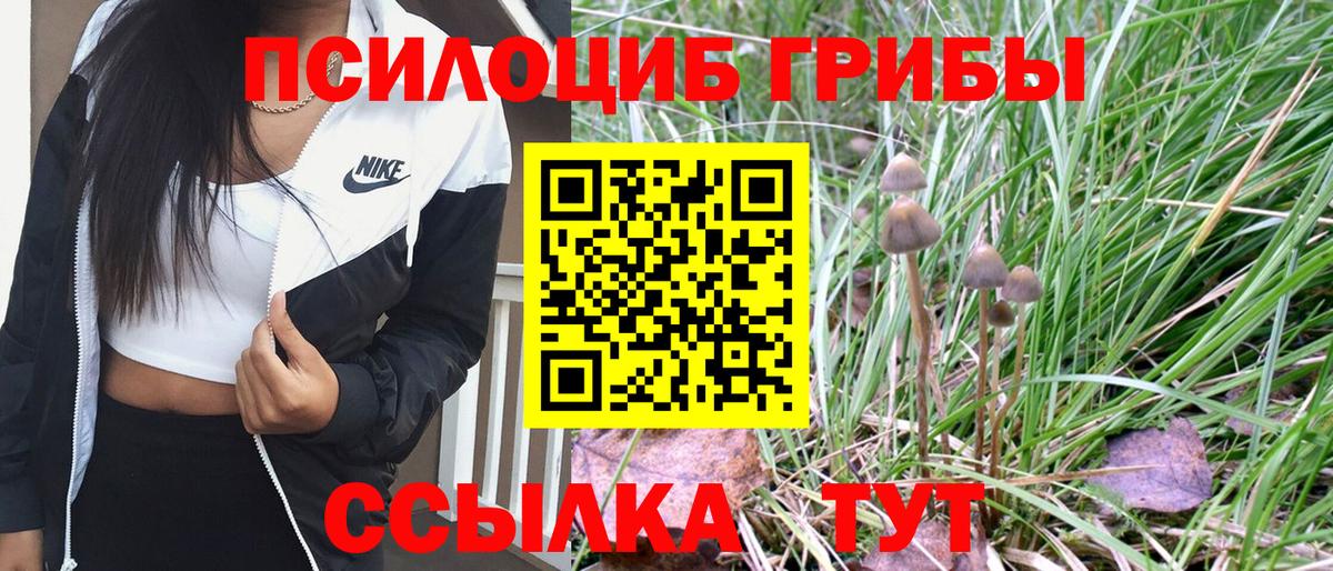Псилоцибиновые грибы мицелий Новый Уренгой
