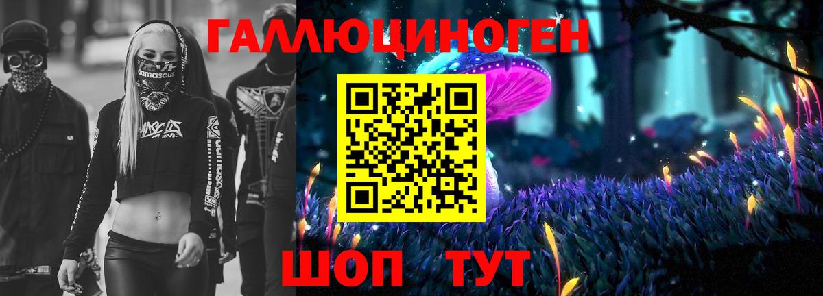 Новый Уренгой  Галлюциногенные грибы Magic Shrooms  Псилоцибиновые грибы прущие грибы  закладка  Вход с VPN 